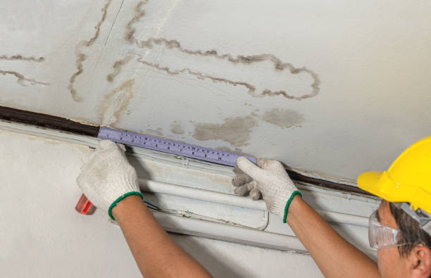 Reliable Basement Water Removal contractor in Robersonville, NC by Water Damage Irwin
